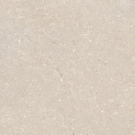 PORCELANOSA CORAL CALIZA 80/80