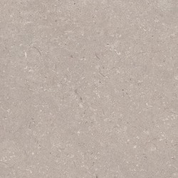 PORCELANOSA CORAL TOPO 120/120