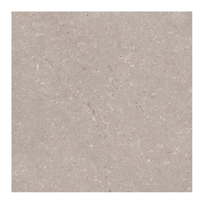 PORCELANOSA CORAL TOPO 120/120