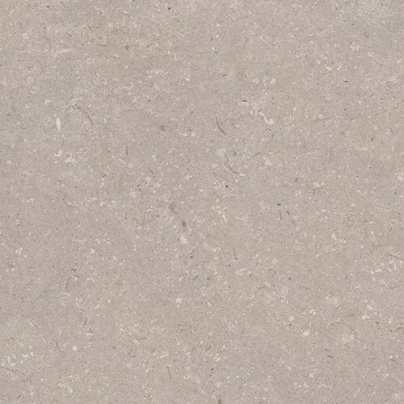 PORCELANOSA CORAL TOPO 120/120